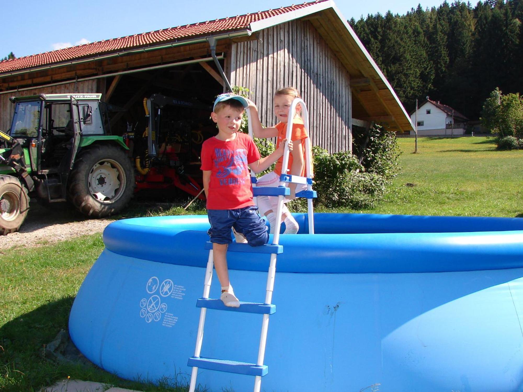 Flat On A Farm Near The Arber Ski Area Neukirchen beim Heiligen Blut Luaran gambar