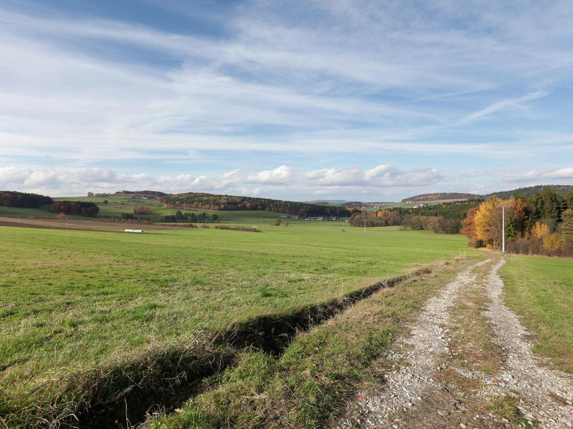 Flat On A Farm Near The Arber Ski Area Neukirchen beim Heiligen Blut Luaran gambar